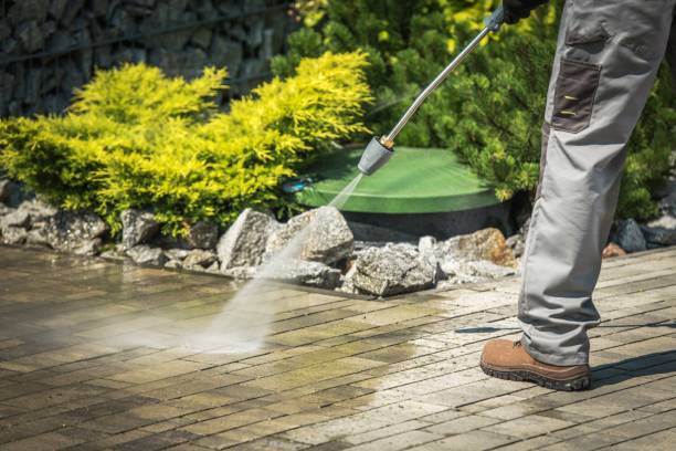 Best Fence Cleaning and Maintenance in Eden, NC